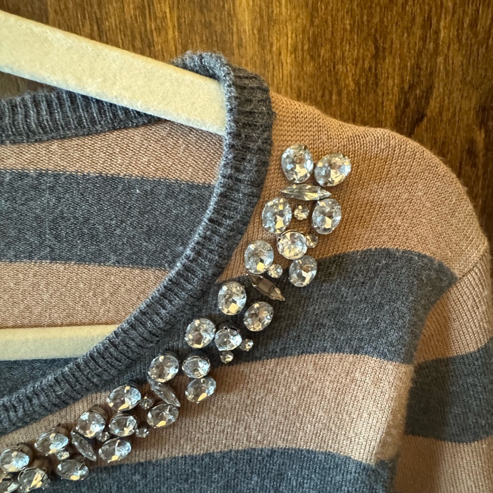 The Limited Gray and Tan Striped Sweater with Embellished Neckline - Picture 7 of 10